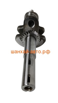  LC1P65FE Caiman/130290441-0001 (,  2)