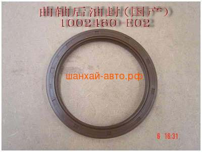  . .  Great Wall: Hover, Wingle 1002460-E02 (,  1)