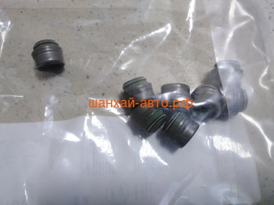   Chery: Bonus, Cross Eastar, Fora, IndiS, Kimo, M11 Elring 403.730 (,  2)