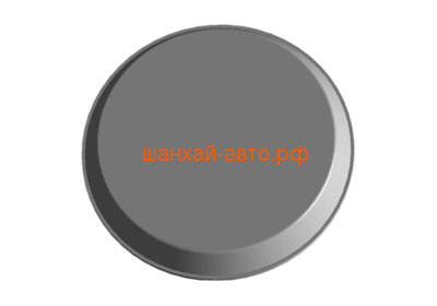     Chery: Amulet, Karry A11-2901011 (,  1)