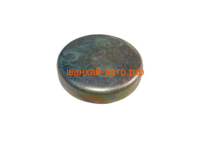    (38) Chery: Amulet, Bonus, Very 480-1003017 (,  1)