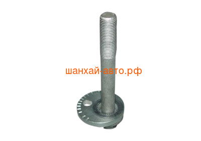       Chery Tiggo T11-2919035 (,  1)
