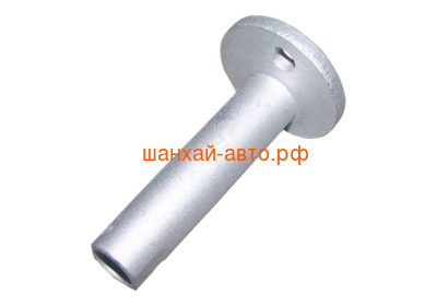   -   Chery Tiggo T11-2919033 (,  1)
