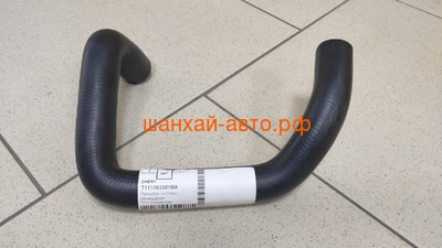  Chery Tiggo T11-1303301BA (,  1)