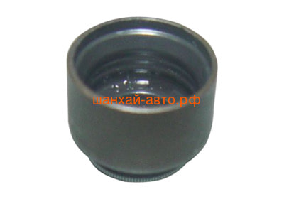   Chery QQ 372-1007020 (,  1)