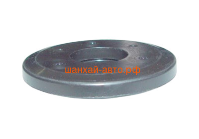     Chery QQ S11-2901040 (,  1)