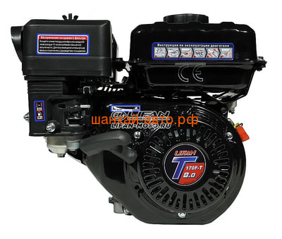  Lifan 170F-T D19 (,  4)