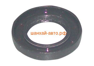     Chery Tiggo QR523T-2402232 (,  1)
