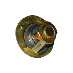  1.1 Chery QQ 462-1306950.  2