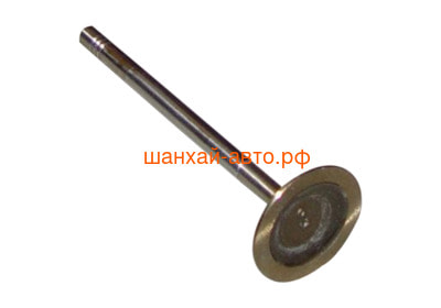  Chery: Amulet, Karry 480E-1007011 ()