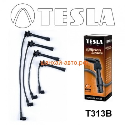  TESLA / CHERY TIGGO 2.4 L  T313B ()