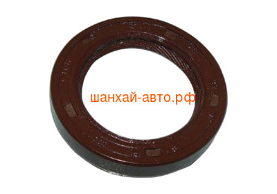    Chery QQ6 1.1 462-1006900-A ()