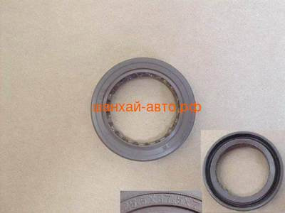    Great Wall: Coolbear, Florid, Hover H6 1011200-EG01
