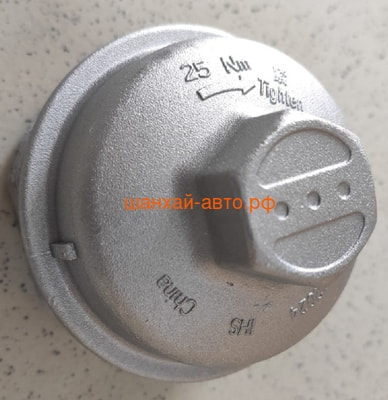     Chery Tiggo FL E4G16-XLB1012020 ()