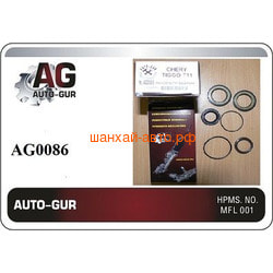    Chery: Tiggo Auto-gur AG0086