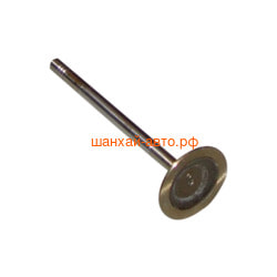   Chery: Amulet, Karry 480E-1007011