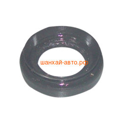     Chery Tiggo QR523T-2402232