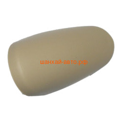   Chery Tiggo T11-6906021BA