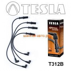  TESLA / CHERY AMULET 1.6i  T312B