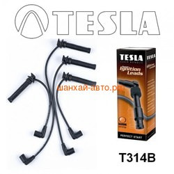    (1.8-2L) Chery: Fora,Tiggo TESLA  T314B