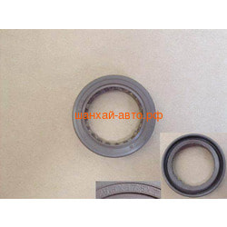    Great Wall: Coolbear, Florid, Hover H6 1011200-EG01