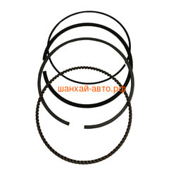   Loncin LC196F,LC1P96F/130070182-0001