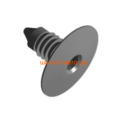    Chery: Amulet, IndiS A11-8210019